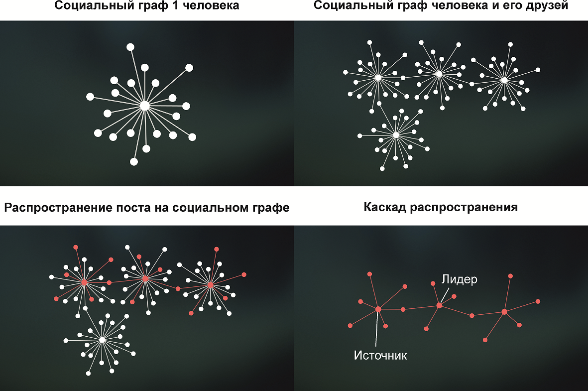 социальный граф