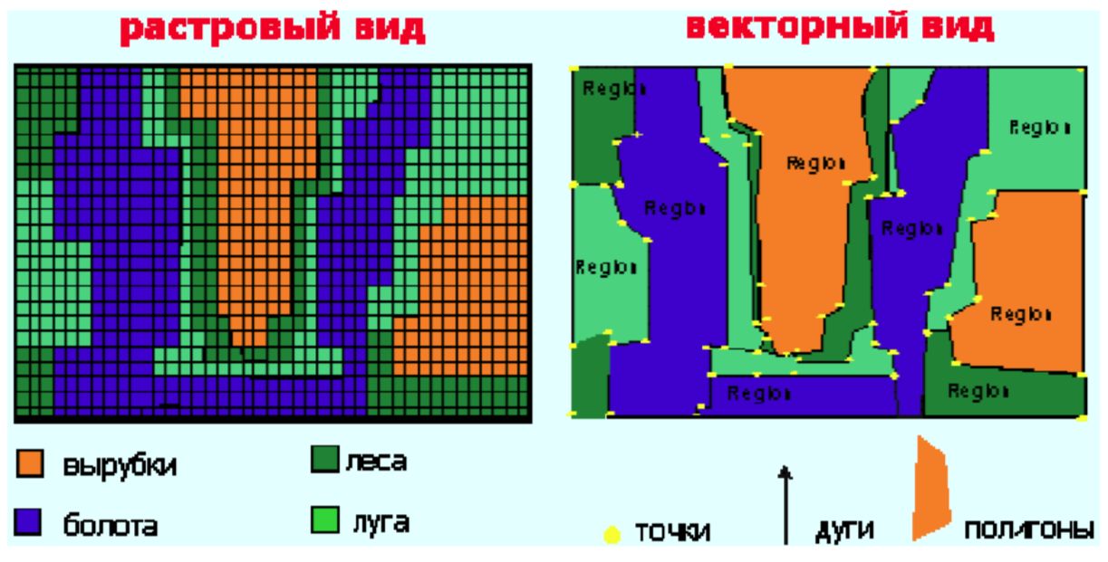 Карта угодий в растровом и векторном виде