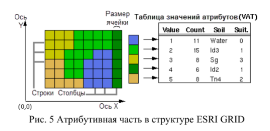 Атрибутивная таблица VAT в структуре ESRI GRID