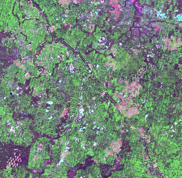 тот же снимок Landsat с атмосферной коррекцией — контраст и цветопередача ближе к реальным
