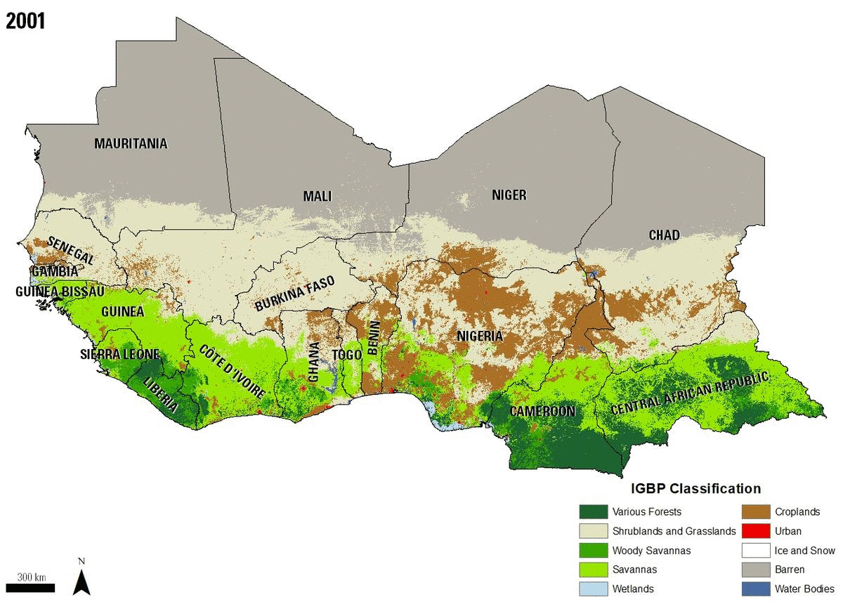 анимация: карты покрытия земель MODIS Land Cover за разные годы