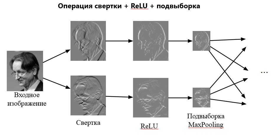 Входное изображение проходит через свёртку, ReLU и max-pooling по двум параллельным каналам, карты признаков уменьшаются в размере и передаются дальше