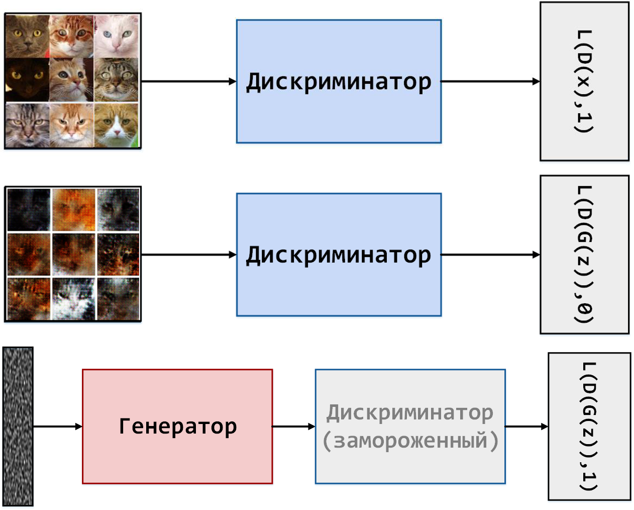 Три схемы обучения: дискриминатор учится выдавать единицу на реальных изображениях, ноль на подделках, затем связка с замороженным дискриминатором учится выдавать единицу на подделках